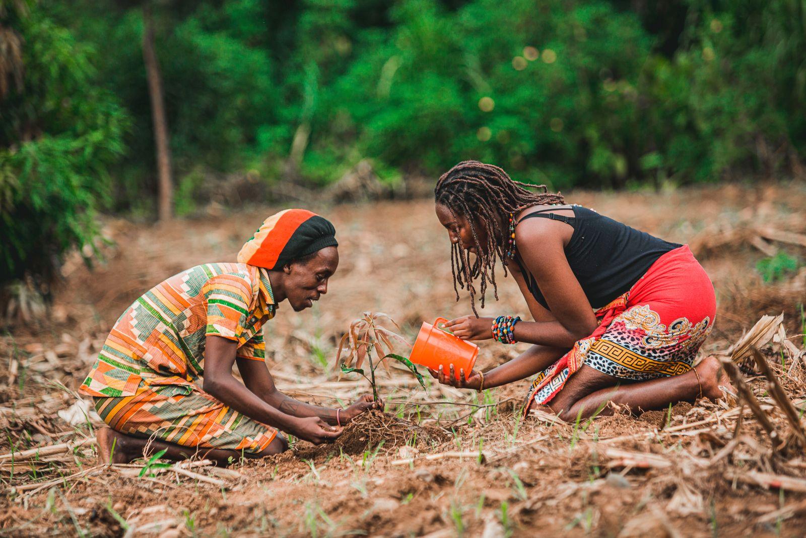 Two women planting crops together on a farm